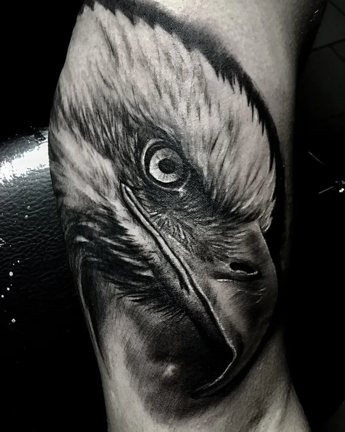 Orel — tetování Milosch tattoo
